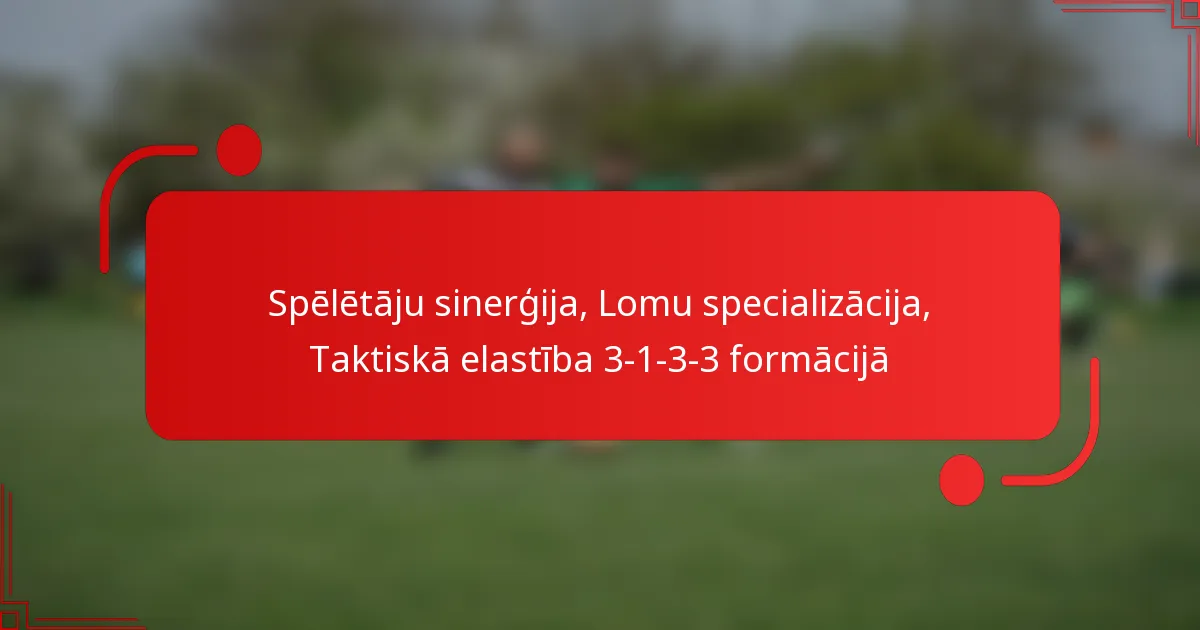 Spēlētāju sinerģija, Lomu specializācija, Taktiskā elastība 3-1-3-3 formācijā