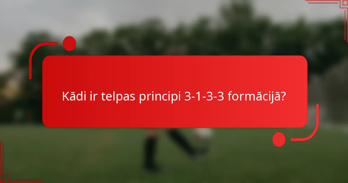 Kādi ir telpas principi 3-1-3-3 formācijā?